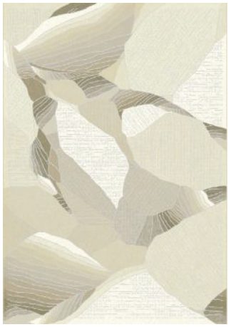 Vaip Tierra 492.01.RP100 1